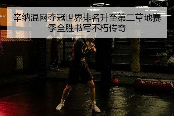 辛纳温网夺冠世界排名升至第二草地赛季全胜书写不朽传奇